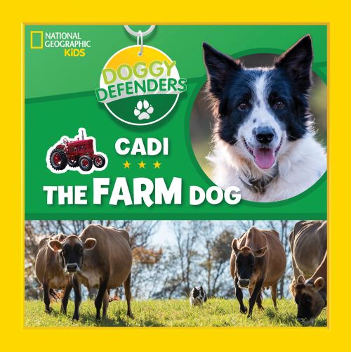 Cadi the Farm Dog