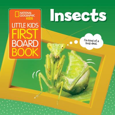 Insects