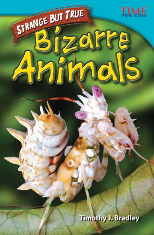 Bizarre Animals