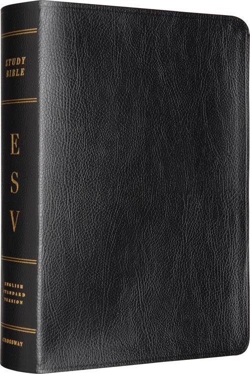 Study Bible