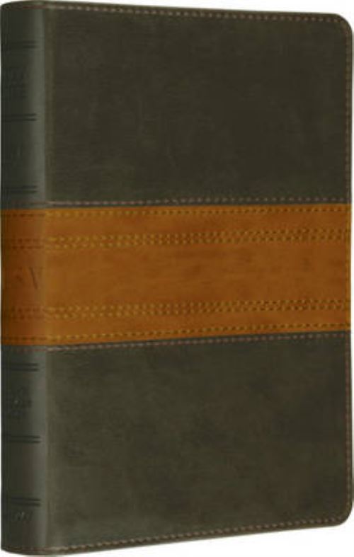 ESV Large Print Compact Bible
