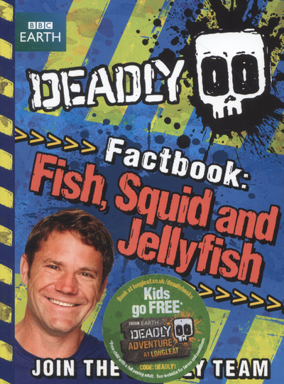 Fish, Squid and Jellyfish