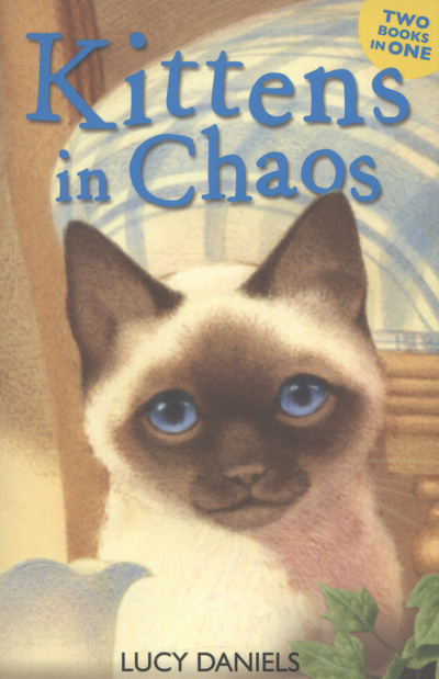 Kittens in Chaos