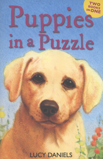 Puppies in a Puzzle