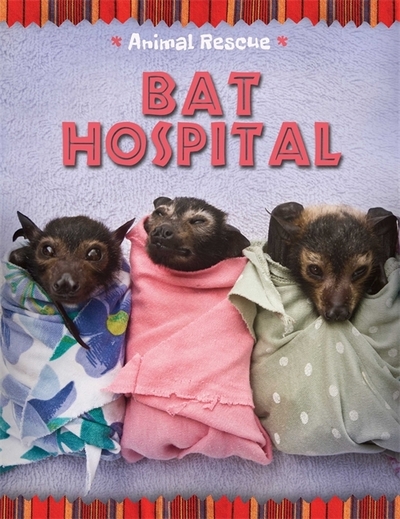 Bat Hospital