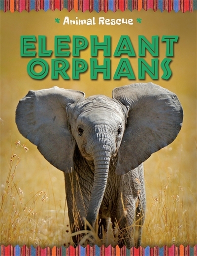 Elephant Orphans