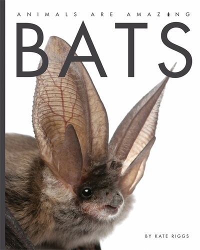 Bats