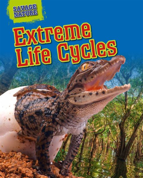 Extreme Life Cycles