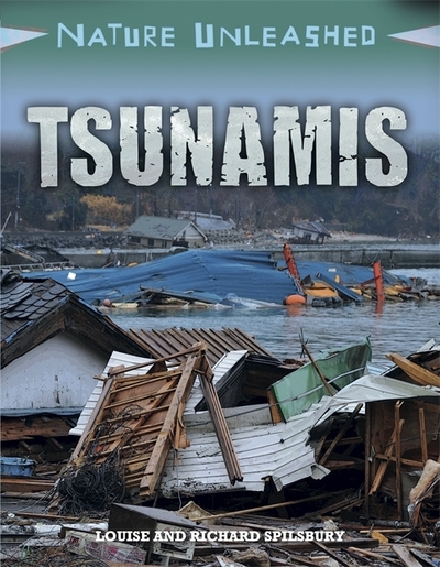 Tsunamis