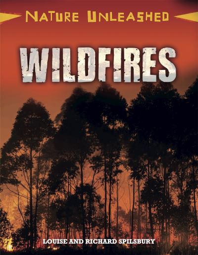 Wildfires