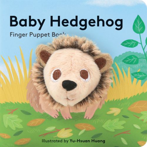 Baby Hedgehog