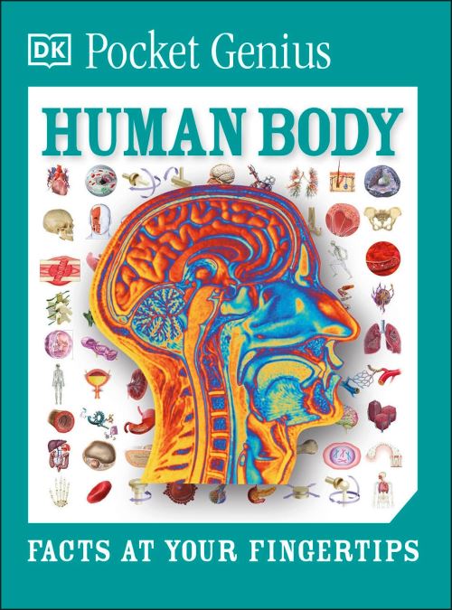 Human Body