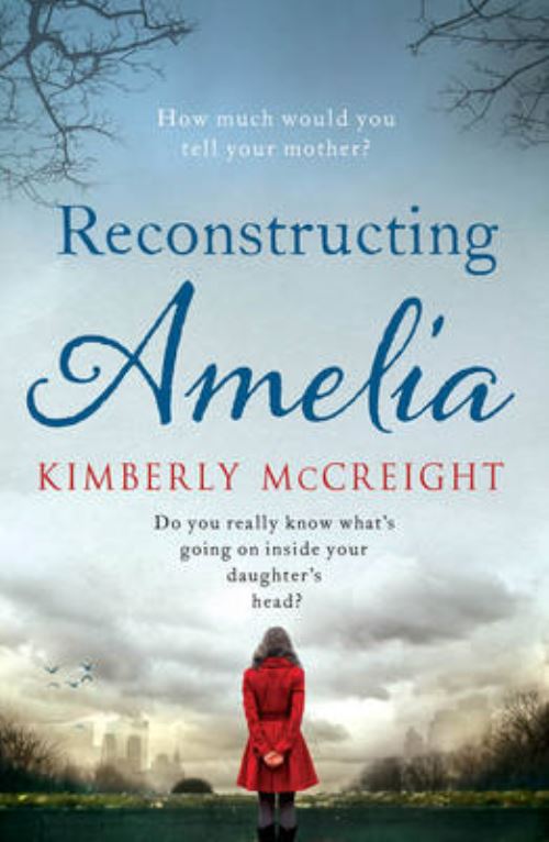 Reconstructing Amelia
