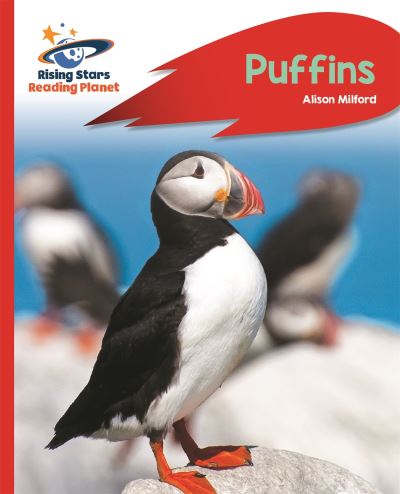 Puffins