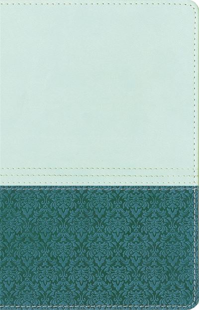 Study Bible