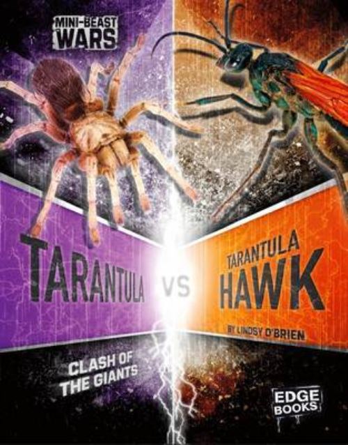 Tarantula Vs Tarantula Hawk