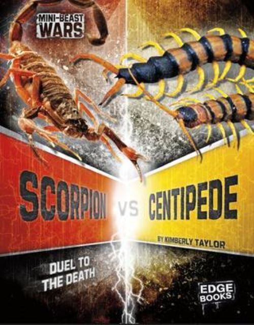 Scorpion Vs Centipede