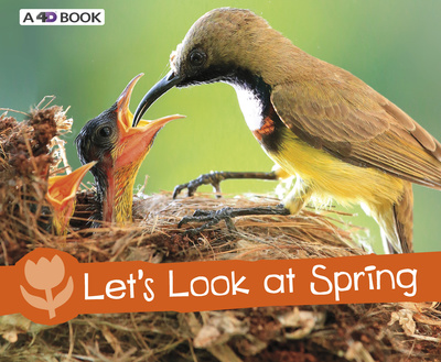 Let's Look at Spring