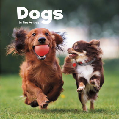 Dogs