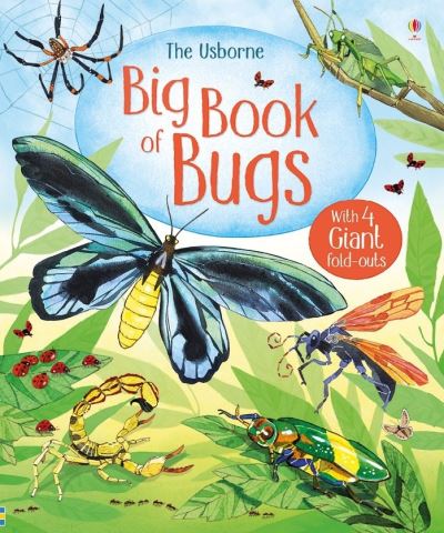 The Usborne Big Book of Bugs