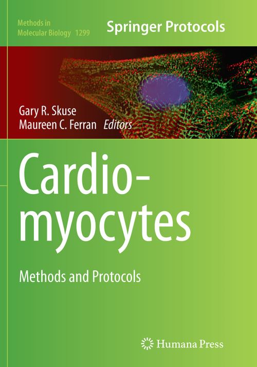 Cardiomyocytes