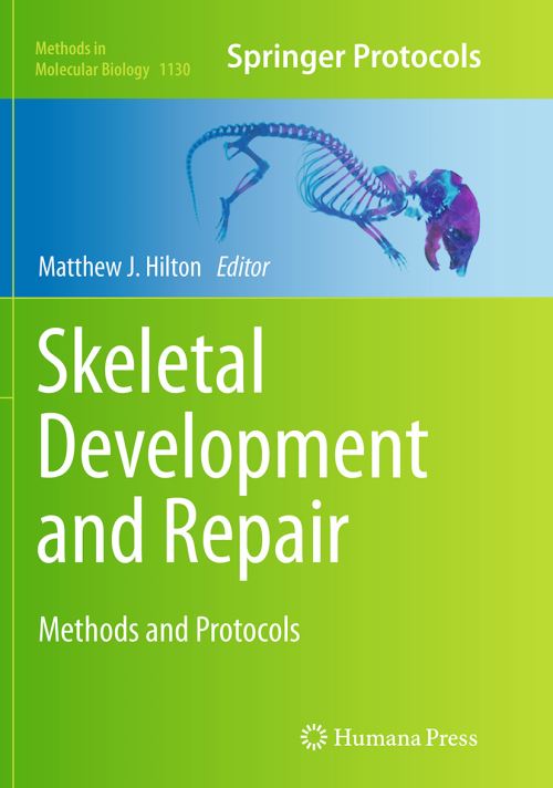 Skeletal Development and Repair