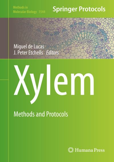 Xylem