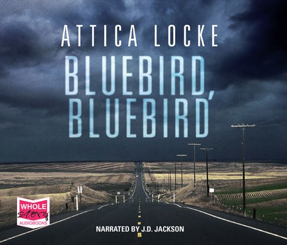 Bluebird, Bluebird