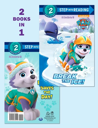 Break the Ice!