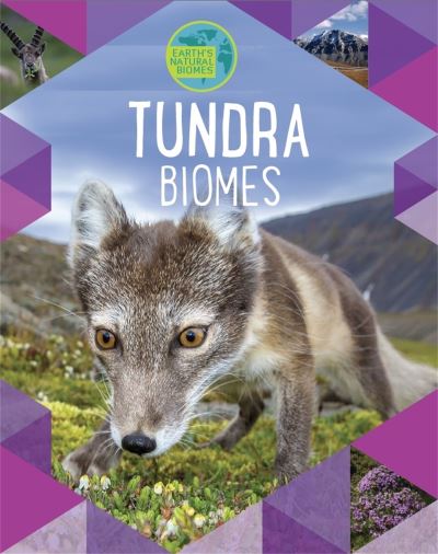 Tundra Biomes