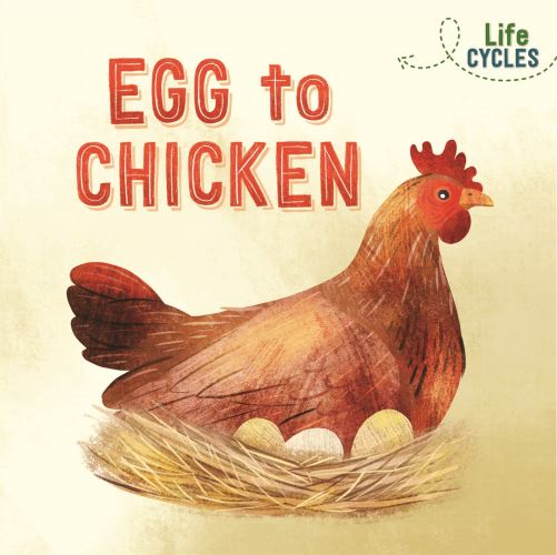 Egg to Chicken