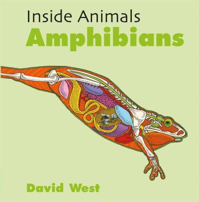 Inside Animals