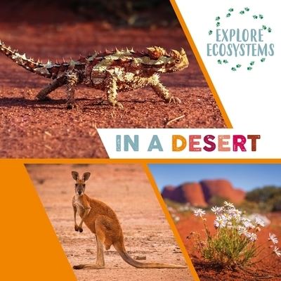 In a Desert