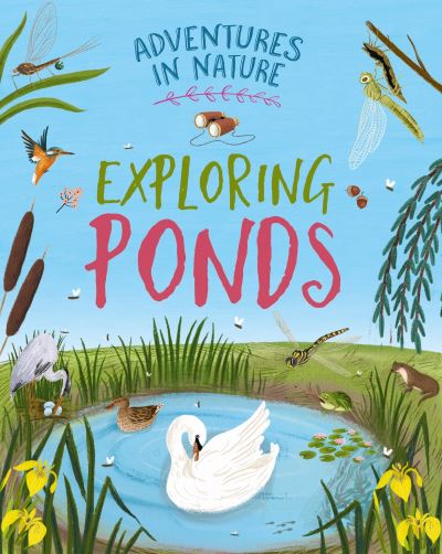 Exploring Ponds