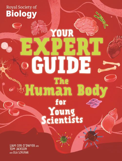 The Human Body for Young Scientists