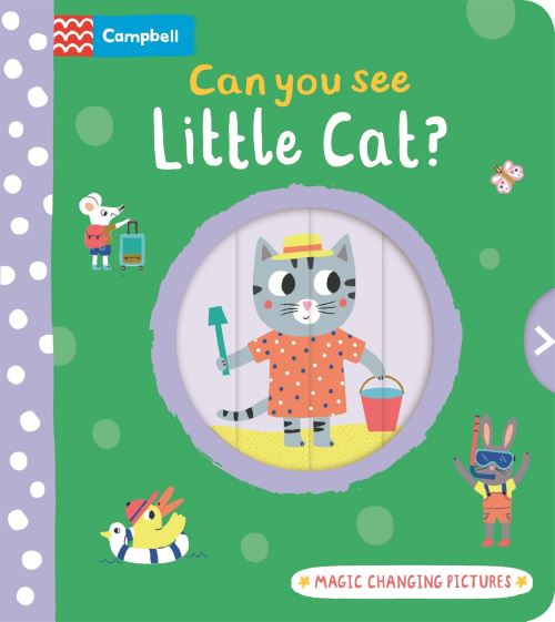 Can You See Little Cat?