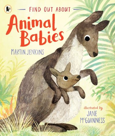 Animal Babies