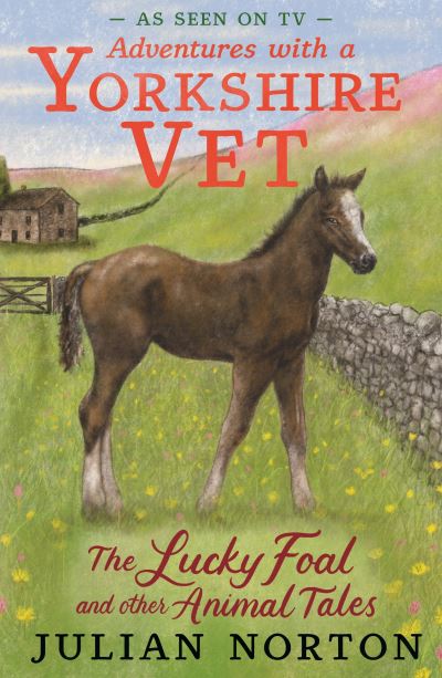 Adventures With a Yorkshire Vet