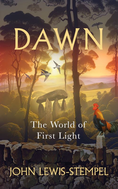 Dawn