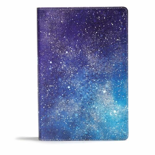 One Big Story Bible