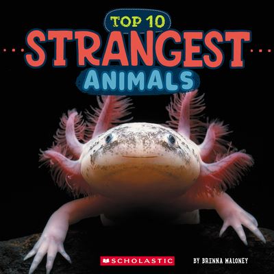 Strangest Animals (Wild World