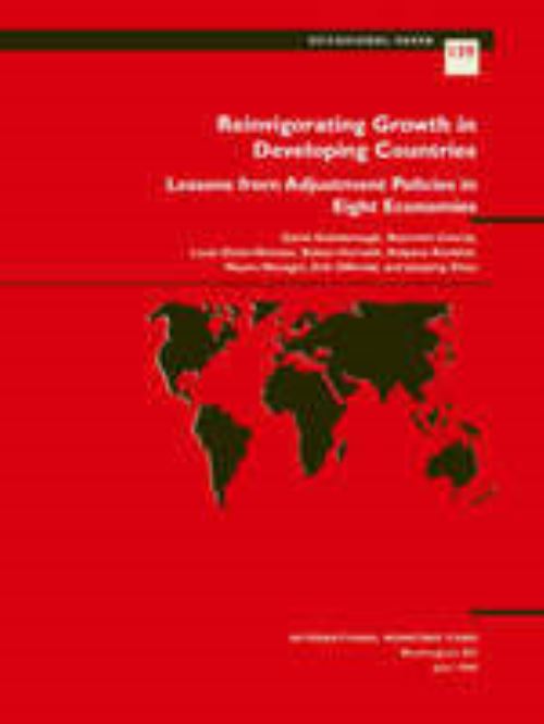 Reinvigorating Growth in Developing Countries