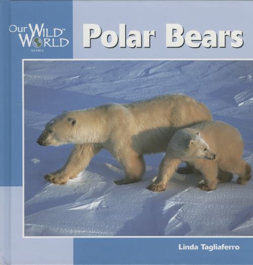 Polar Bears