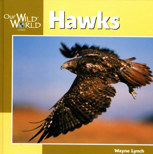Hawks
