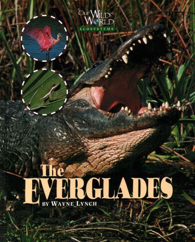 The Everglades