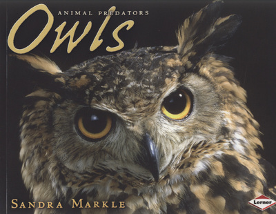Owls