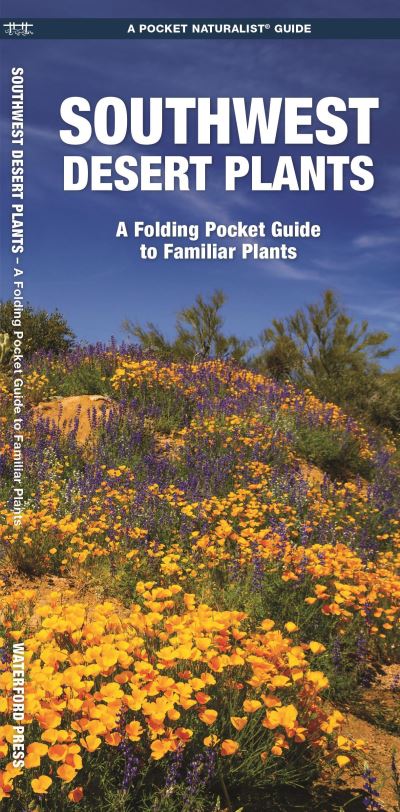 Southwest Desert Plants