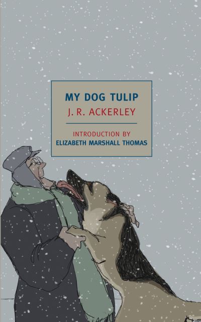 My Dog Tulip