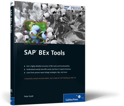 SAP BEx Tools
