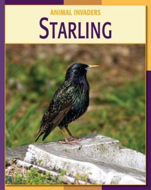 Starling